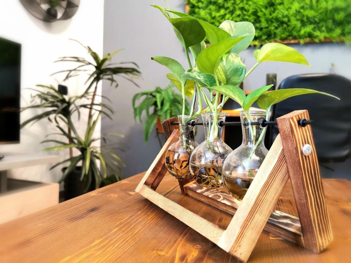 Evergreen House 아그리젠토 외부 사진